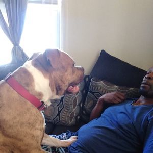 Meet your Posher, Ronald